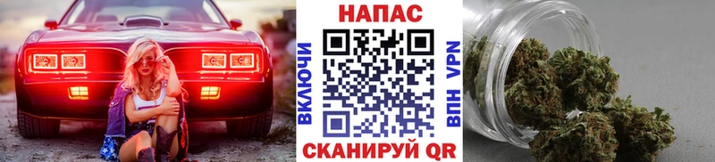Бошки Шишки семена  Бавлы 
